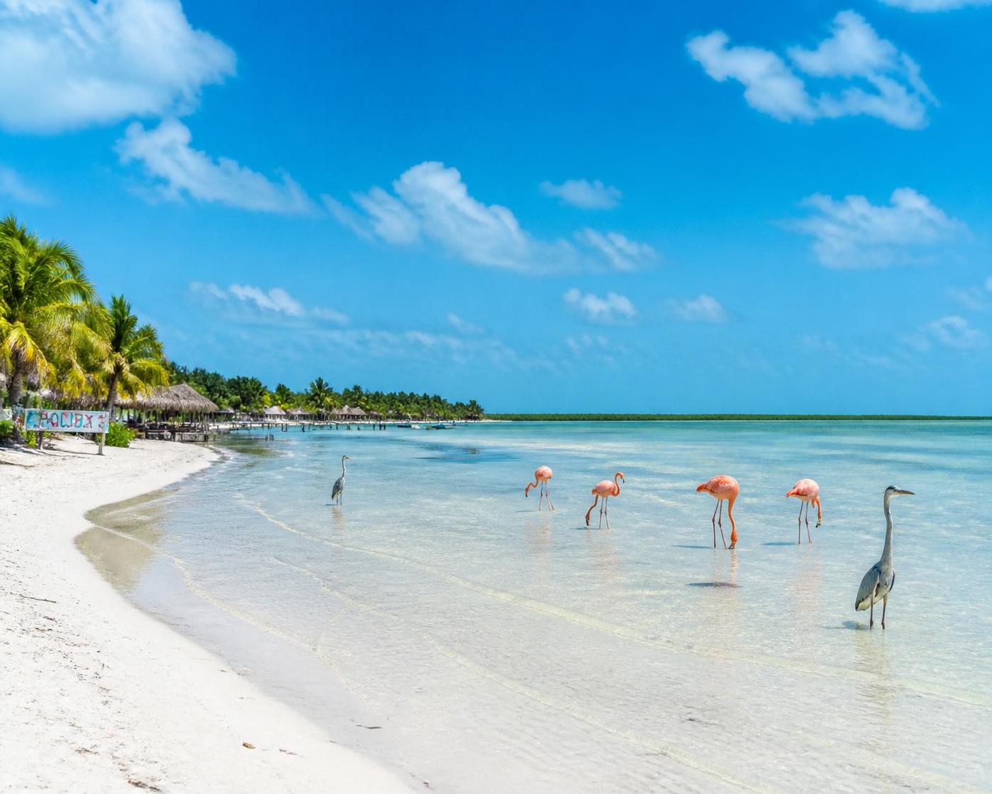 découvrez les activités incontournables à holbox pour un séjour réussi : plages paradisiaques, excursions nature, et aventures authentiques au cœur d'un îlot préservé.